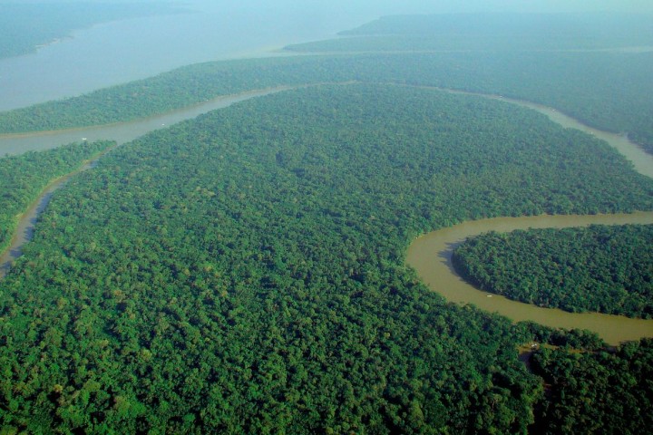 The Amazon Rainforest is Being Destroyed at the Fastest Rate in Over a Decade